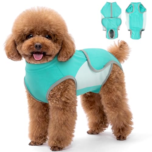 Image of Lelepet Dog Surgery Recovery Suit Onesie for Female Spay & Male Neuter S
