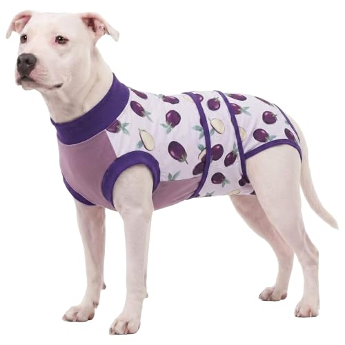 LovinPet Dog Recovery Suit, Soft Post-Surgery Bodysuit with Cotton Belly Panel, Four-Season Wear for Medium Breeds, Vegetable Print, Purple, M