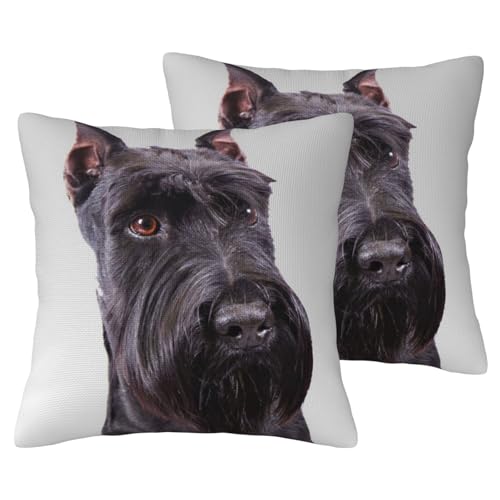 Housses de coussin imitation lin schnauzer x2 : protégez et sublimez vos canapés