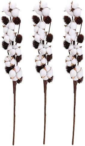 Ruiuzioong Natural Dried Cotton Stem Farmhouse Artificial Flower Filler Floral Arrangement DIY Home Party Decor (3pcs Prick Cotton)