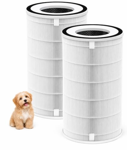 Image of 2-Pack 1000 Replacement Filters | 3-in-1 Integrated Filtration with Activated Carbon & Pre‑Filter | Compatible with Air Doctor 1000 AD1000 Air Purifier
