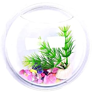 Acquario da muro – vaso – pesci in vetro – piante idroponiche – design da parete – da 9 cm