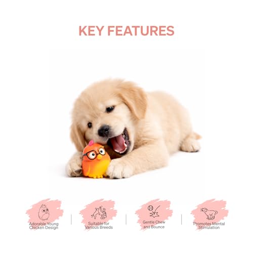 Image of EZRA Play Glasses Chicken Squeaky Latex Dog Chew Toy | Durable Non-Toxic Rubber Chew Bone | Interactive Toy for Dental Health, Teething & Active Chewers