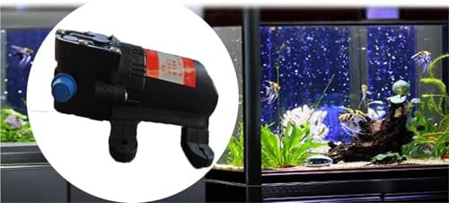 Mini haute pression 12V pompe à eau agricole portable contre pannes