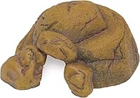 Exo Terra Reptile Cave, sicheres Versteck für Reptilien und Amphibien, S, 15 x 15.5 x 6.5 cm