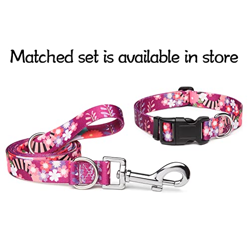Suredoo Hundehalsband Verstellbares, Weich & Komfort Nylon Hunde Halsband für Kleine Mittlere Große Hunde Welpen Katzen (S, Bunt Blumen)
