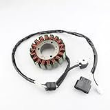 Abbinamento perfetto: bobina magnete statore per moto Dimensioni ridotte, modello perfetto, più comodo da usare.