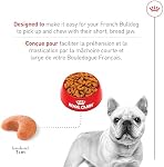 Royal Canin Breed Health Nutrition Bulldog Français Adulte: Alimentation pour chiens secs, 17 Sac en lb