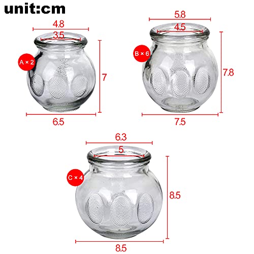 Feibrand Professionele Cupping Set Glas 12 Glazen Kopjes Fysio Massage Chinese Vuur Cuppen Therapie Vacuümzuiging - Image 4