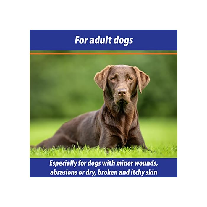 Exmarid Ointment for Dogs - Itchy Dog Skin Relief, Helps Soothe Itchy and Dry Skin Irritation, Cleanses and Disinfects (100g) - Image 5