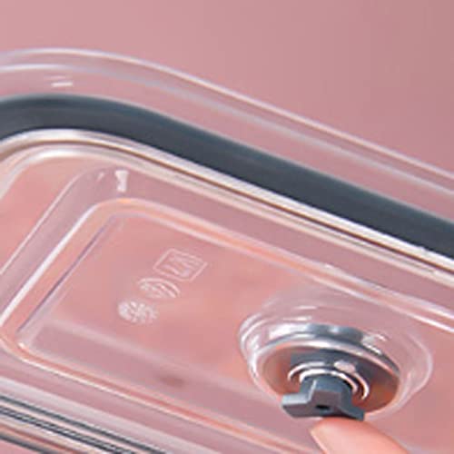 JINGYAN Bento Box Scatola di immagazzinaggio alimentari in vetro per la famiglia, può contenere frutta, verdura, ecc. Per conservazione