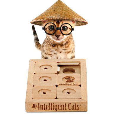 My Intelligent Cats Mid-CS6 Juguete Inteligente para Gatos, Cat' Sudoku Advanced, CS/6