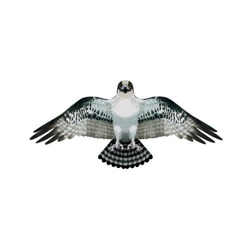 Wildlife Osprey Bird Wing Flapper Kite 55 Wingspan Desertcart Cyprus