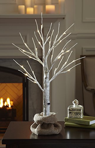 LOFTPLUS LED Birch Tree Hand-Painted Bonsai String Light 24 LED for Indoor Use Warm White Battery-Operated AC Adapter Burlap Sack Included - 24inch Tall