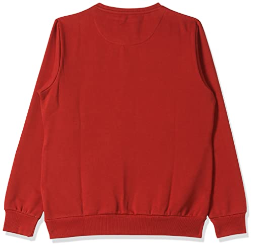 Image of Monte Carlo Embroidered Cotton Blend Round Neck Womens Sweatshirt