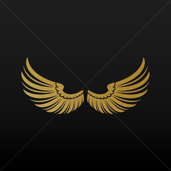 Sticker Pair of Wings Decoration Motorbike Bicycle Vehicle A Gold-Matte (4 X 3.63 Inches)