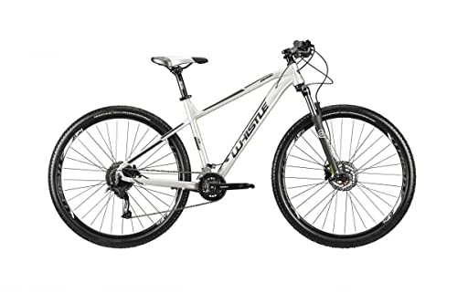 telaio alluminio 29