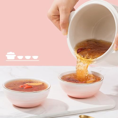 Garsent Mini Pentola per Stufato in Ceramica con Preimpostazioni e Timer Integrato, Piccola Pentola a Cottura Lenta con Coperchio, 1 L, Pentola Elettrica per Stufato, Pentola per (Spina