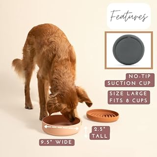 Should We Go? Dog Water Bowl - The Perfect Dish No-Spill, Less Mess Non-Tippable Water & Food Bowl, Pure Silicone with Suction Cup Fits 8 Cups 9.5" Across x 2.5" Tall, Ideal for All Pets, Large-Spruce