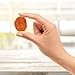 Traina Home Grown California Sun Dried Ruby Royal Apricot Halves - SEASONAL/LIMITED - Healthy, No Sugar Added, Non GMO, Gluten Free, Kosher Certified, Vegan, Value Size (5 lbs)