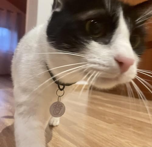 Kompatibel mit Sureflap Surefeed Microchip RFID Halsband-Tags Disc Key Ersatz (2 Stück)