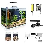 Small Aquarium Starter Kit, 2.6 Gallon Glass Betta Fish Tank with Heater Self Cleaning System Efficiency Filter Bright Light Rocks Gravel Cleaning Tool Set, Leak-Proof Ultra-Clear Rimless Desktop Tank