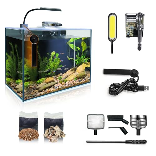 Small Aquarium Starter Kit, 2.6 Gallon Glass Betta Fish Tank with Heater Self Cleaning System Efficiency Filter Bright Light Rocks Gravel Cleaning Tool Set, Leak-Proof Ultra-Clear Rimless Desktop Tank