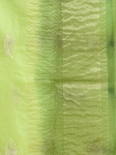 Image of Satrani Women's Organza Sequins Embroidery Jacquard Saree with Unstitched Blouse Piece