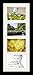 ArtToFrames Collage Photo Frame Single Mat with 4 - 5x7 Openings and Satin Black Frame.