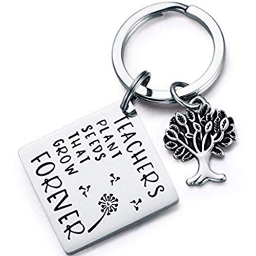 Aohua outstanding Teacher plant seeds Stainless Steel Key chain Teacher Graduation Gift Excellent(None 1)