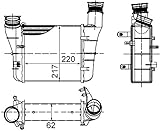 MAHLE