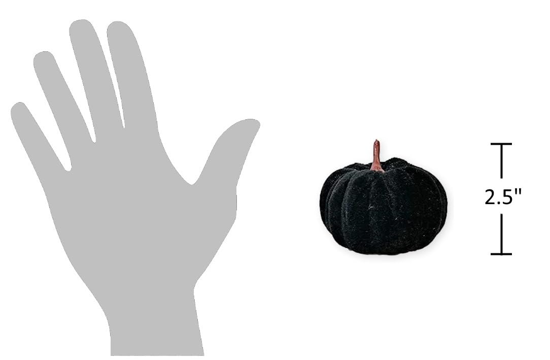 The Bridge Collection Small Decorative Velvet Pumpkins, Set of 6 (Black)