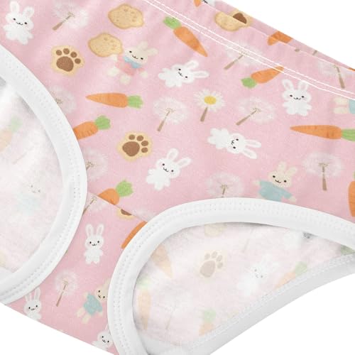 Bunny Rabbit Carrot Dandelion Toddler Girls's Underwear 2T 23006604