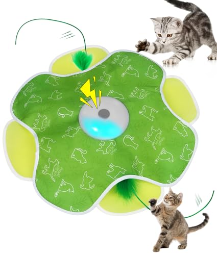 EHWZ Juguetes para gatos Hide and Seek, pluma móvil impredecible, juguete interactivo de varita para gatitos, juguete para gatos con carga automática, pateador de ejercicio interior para todas las