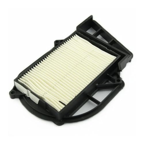 Filtre à air YP250 résolvant les pertes de puissance du X-Max - 3