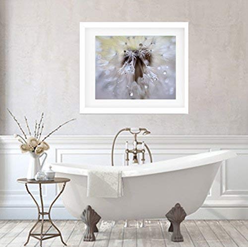 Bathroom Decor, Modern Bathroom Wall Art, Dreamy Dandelion Flower Photographic Print, Rain Drops Water Drops Macro Photography, Bathroom Wall Picture