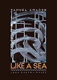 Like a Sea (Iowa Poetry Prize)