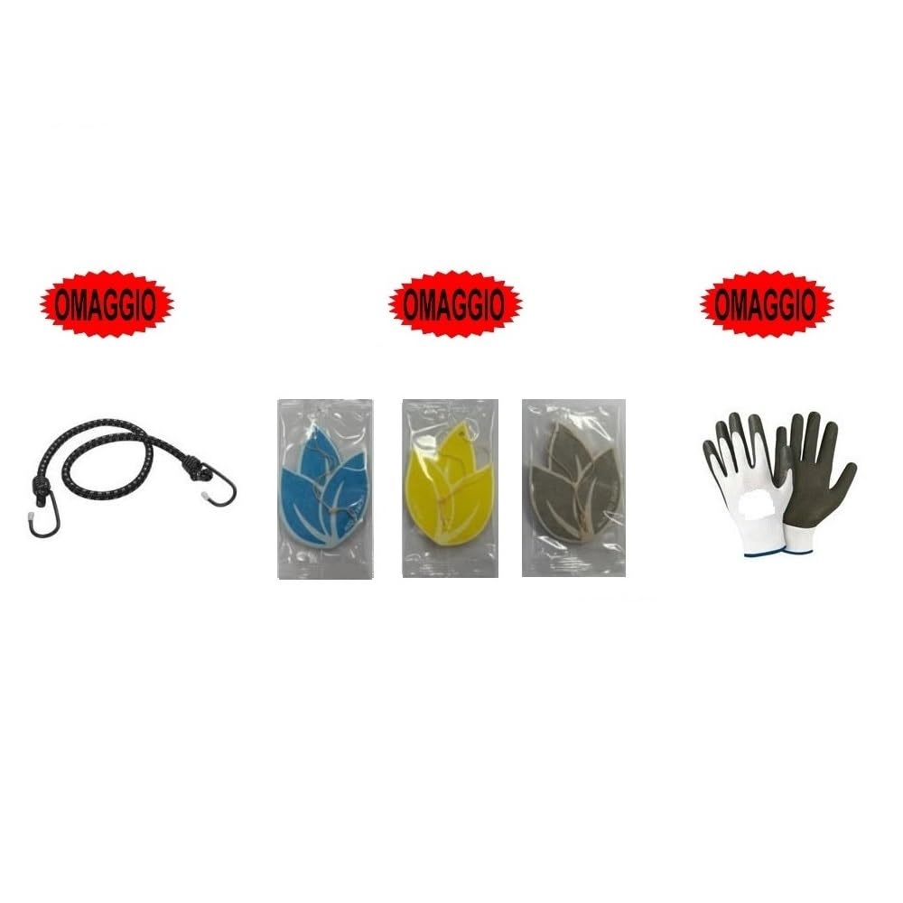 Revisión completa para coche de 4 l, aceite + filtro de aire + filtro de aceite + filtro de combustible + filtro de habitáculo compatible con Lancia Delta III 1.9 Multijet 16 V CV 105/120 (02/2008