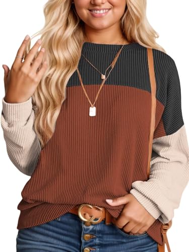 Image of DOLNINE Plus Size Tops for Women Long Sleeve Color Block Ribbed Knit Tunic