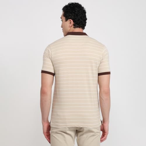 Image of Park Avenue Men Slim Fit Stripe Pattern Pure Cotton Polo Neck Half Sleeve Casual T-Shirt