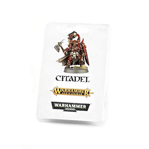 Exalted Deathbringer with Axe and Shield