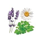 doTERRA Serenity Essential Oil Restful Blend - 15 ml - Image 2