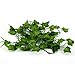 Produktbild Monllack 2m Artificial Ivy Laub Blatt Blumen Startseite Haus Pflanzen Garland Garden Festival Dekoration Evergreen Cirrus