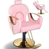 Tythical Pink Salon Barber Chair, Reclining Salon Hair Chair for Hair Stylist with Heavy Duty Pump, 360° Swivel Multi-Function Braiding Hairdresser Chair for Barbershop Home, Max to 440lbs