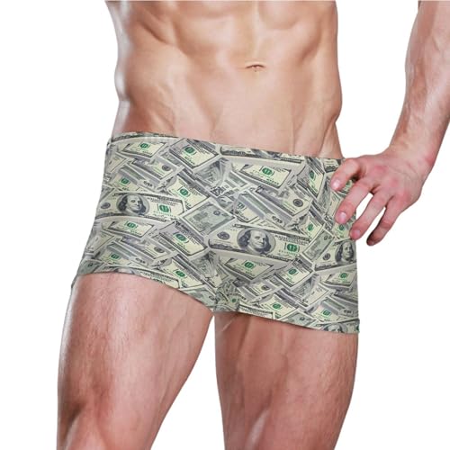 Paper Money Hundred Dollar Bills Mens Swim Trunk Swimwear Bathing Suit Swim Brief Square Leg Board Short S B04050833