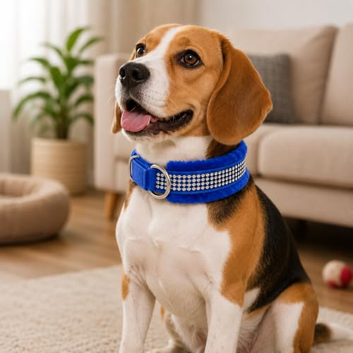 Image of Nylon Dog Neck Belt Collar Combo Set, Adjustable Size, Durable Material, Comfy Soft Fur Padded for 35+ Kilograms Dogs (XL, Blue, Red, Pack of 2)