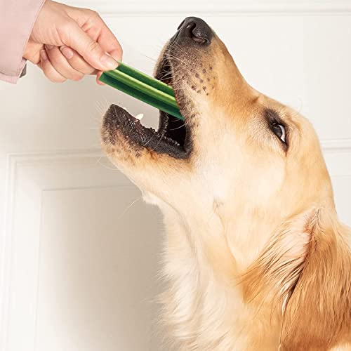 Image of Goofy Tails Active Seaweed Dental Stick 1100g (220g x Pack of 5), Dog Treats Vegetarian, Dental Sticks for Dogs, Chew Sticks for Dogs, Dog Chew Stick