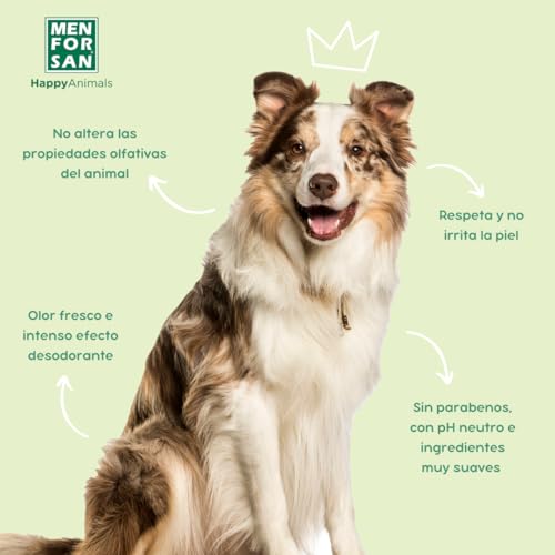 colonia manzana colonia manzana