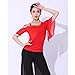 Yhhsgscr Short Sleeve Latin Dancing Tops Salsa Dance Costume Ballroom Clothing Tango Cha Cha Training Outfit for Ladies,Red,M