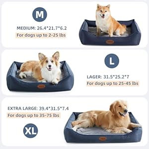 Orthopedic-Dog-Beds-for-Medium-Large-Dogs-Durable-Egg-Crate-Foam-Sofa-Dog-Bed-wit-Washable-Removable-CoverWaterproof-Lining-and-Nonskid-BottomPet-Bed-for-Large-Dogs-Navy-Blue-Medium - Cucciolini Doodles Orthopedic-Dog-Beds-for-Medium-Large-Dogs-Durable-Egg-Crate-Foam-Sofa-Dog-Bed-wit-Washable-Removable-CoverWaterproof-Lining-and-Nonskid-BottomPet-Bed-for-Large-Dogs-Navy-Blue-Medium